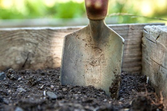 Spring gardening jobs include weeding, feeding and planning
