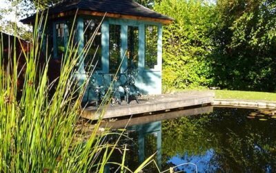 Make a garden pond; the finishing touch for a summer house