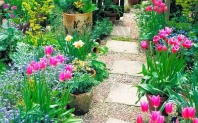 Creative garden path ideas: seven tips to make a garden look bigger and better