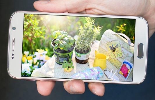 The best gardening apps for Android and iOS