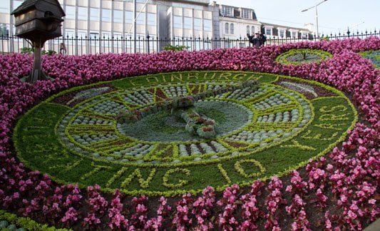 The living floral clock