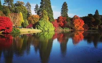 The best gardens to visit this autumn?